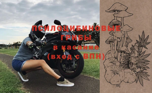 спиды Алексин