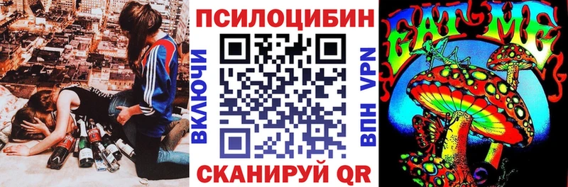 даркнет сайт  Бабаево  Псилоцибиновые грибы Magic Shrooms 